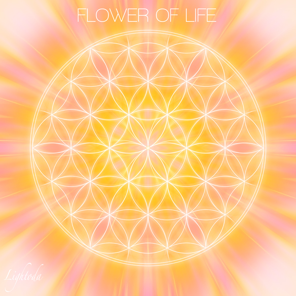 FOL,_􉽊w,t[EIuECt